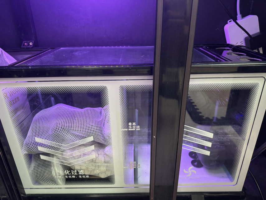 1762325701681.png 1762325701681.png