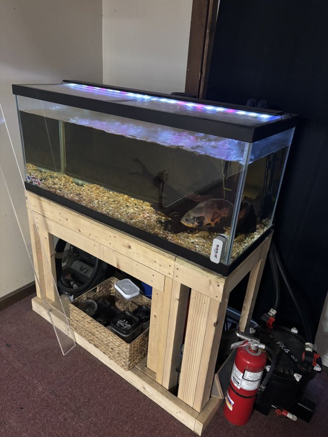 IMG_9917.jpeg IMG_9917.jpeg