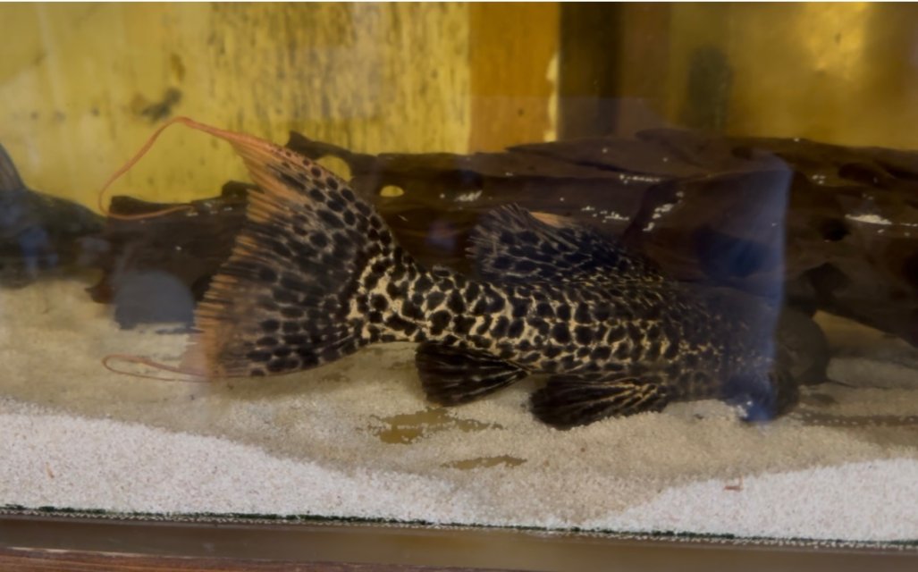 IMG_8049.jpeg IMG_8049.jpeg