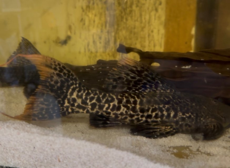 IMG_8046.jpeg IMG_8046.jpeg