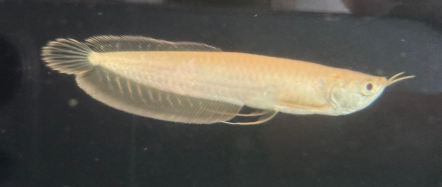 IMG_8040.jpeg IMG_8040.jpeg