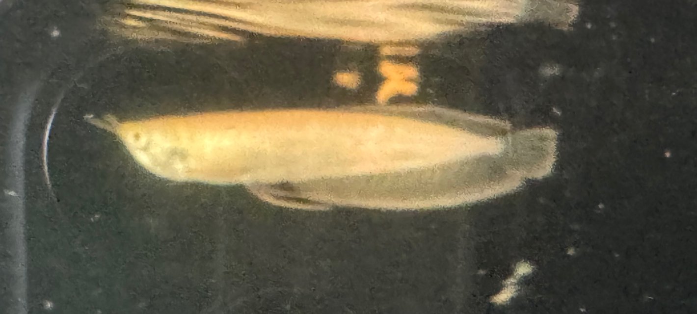 IMG_8042.jpeg IMG_8042.jpeg