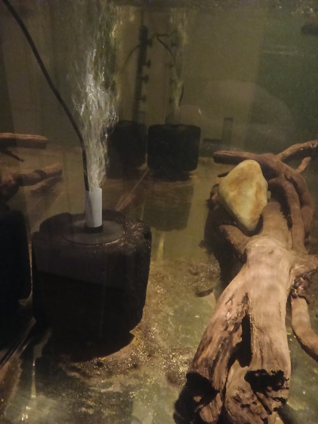 1000004892.jpg 1000004892.jpg