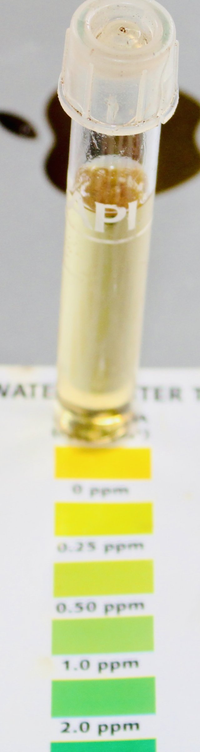 IMG_2021.jpeg IMG_2021.jpeg