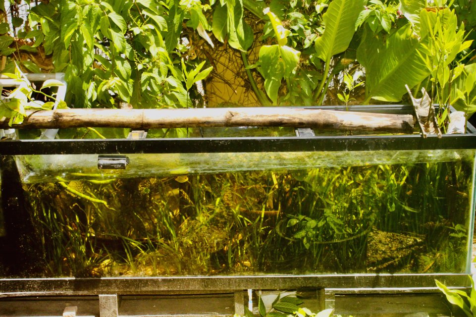 IMG_5309.jpeg IMG_5309.jpeg