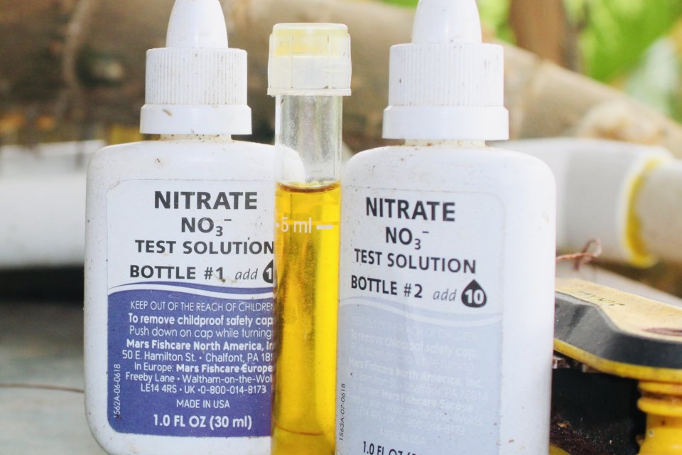 IMG_9456.jpeg IMG_9456.jpeg