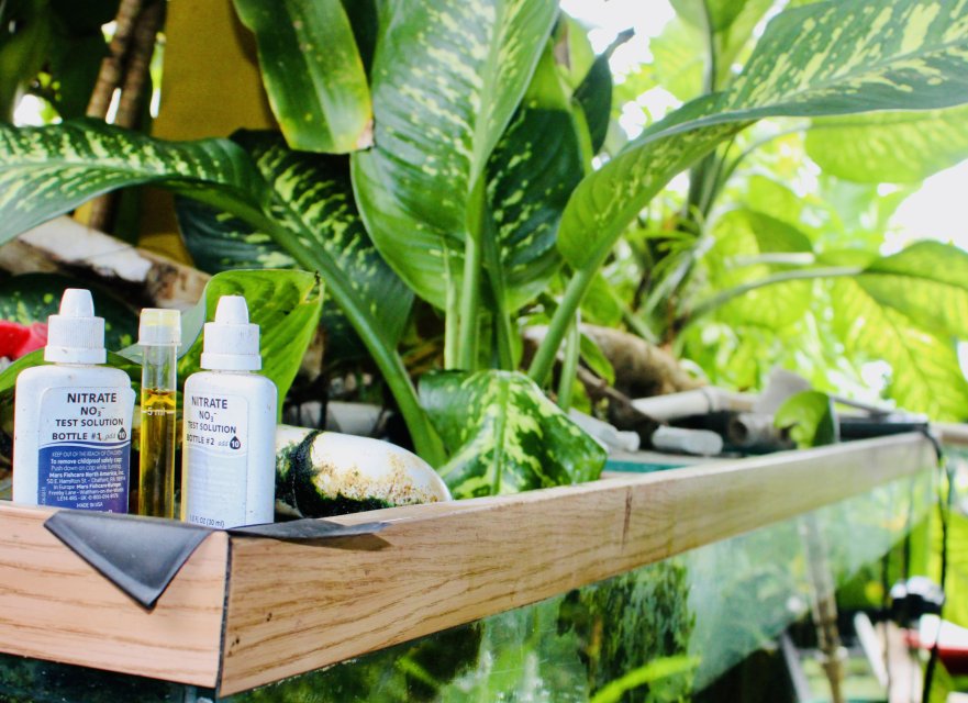 IMG_9448.jpeg IMG_9448.jpeg