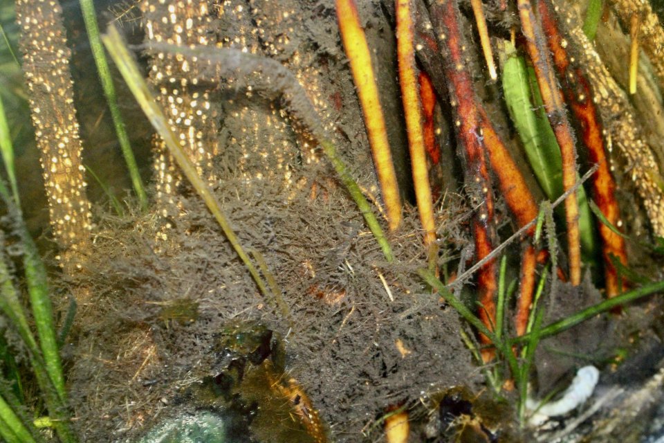 IMG_9473.jpeg IMG_9473.jpeg