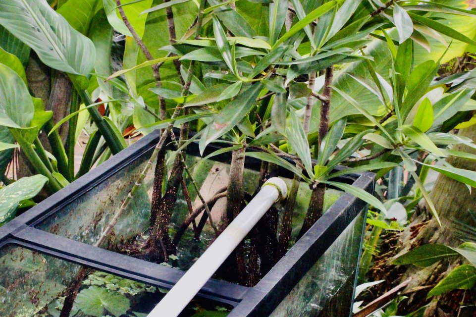 IMG_9392.jpeg IMG_9392.jpeg