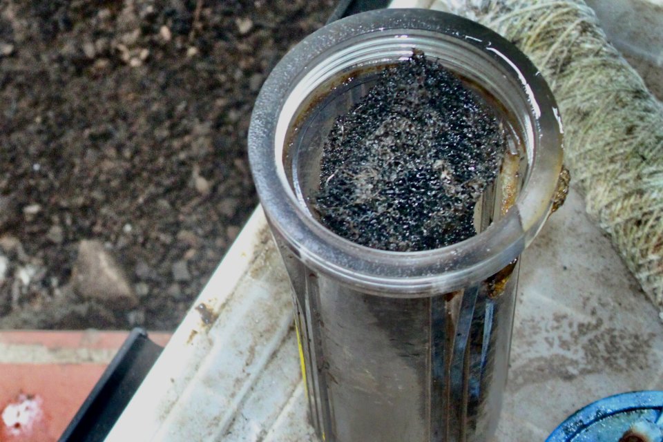 IMG_9387.jpeg IMG_9387.jpeg