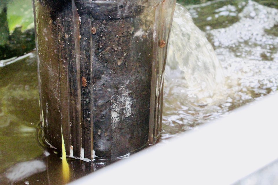 IMG_7330.jpeg IMG_7330.jpeg