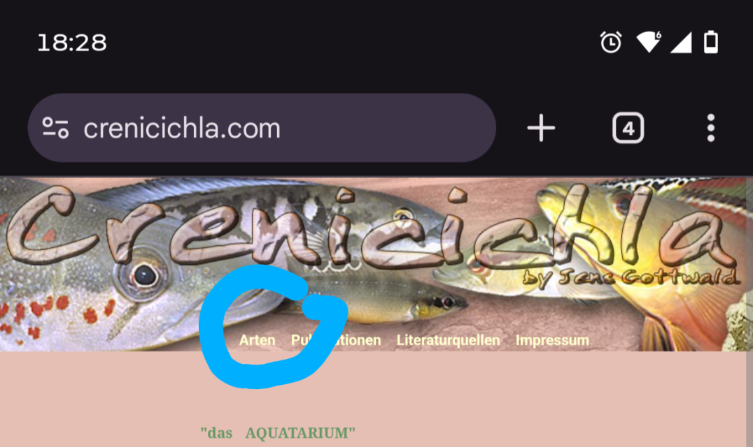 1000018099.png 1000018099.png