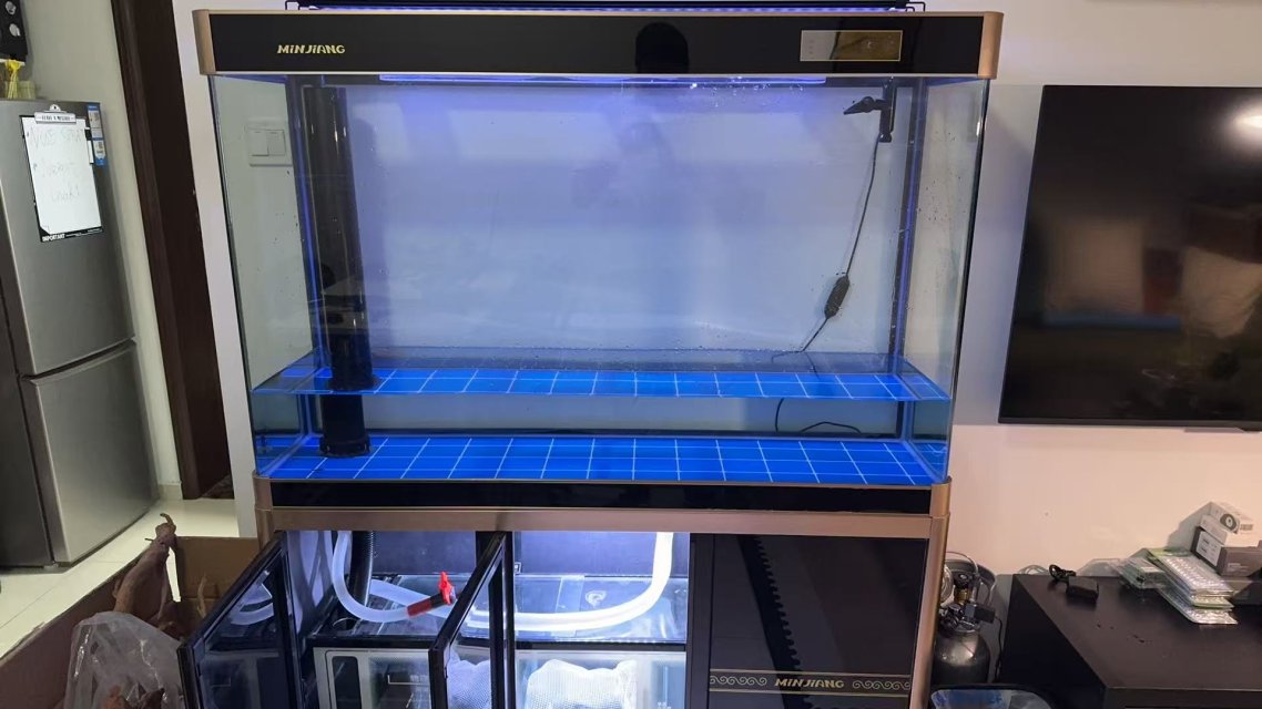 1762485193186.jpeg 1762485193186.jpeg