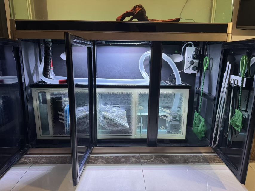 1762485200498.jpeg 1762485200498.jpeg