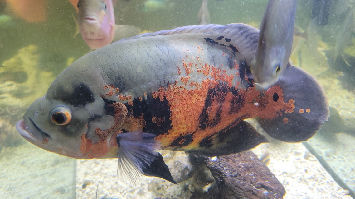 1000107004.jpg 1000107004.jpg