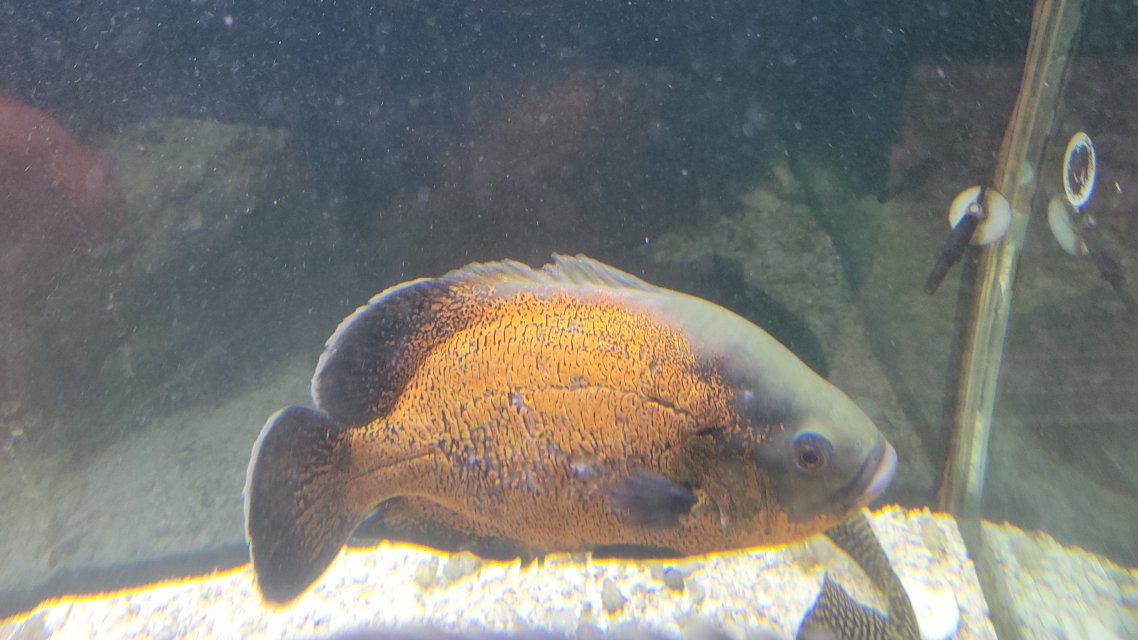 1000107006.jpg 1000107006.jpg