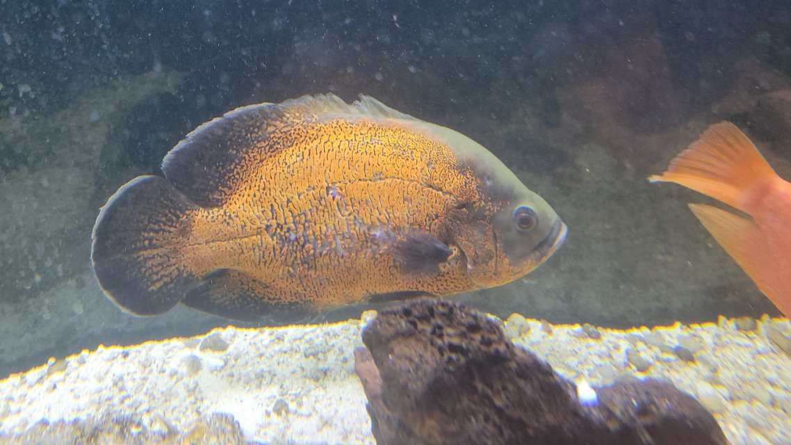 1000107007.jpg 1000107007.jpg