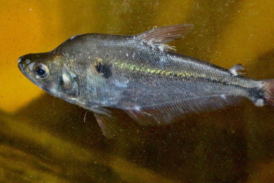 IMG_9293.jpeg IMG_9293.jpeg