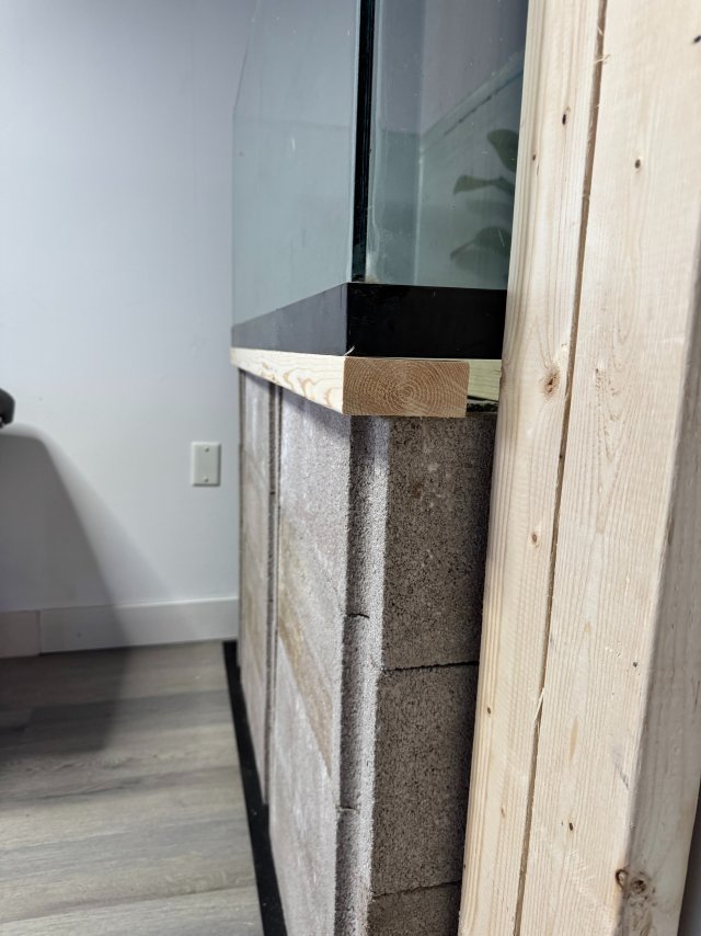 IMG_3783.jpeg IMG_3783.jpeg