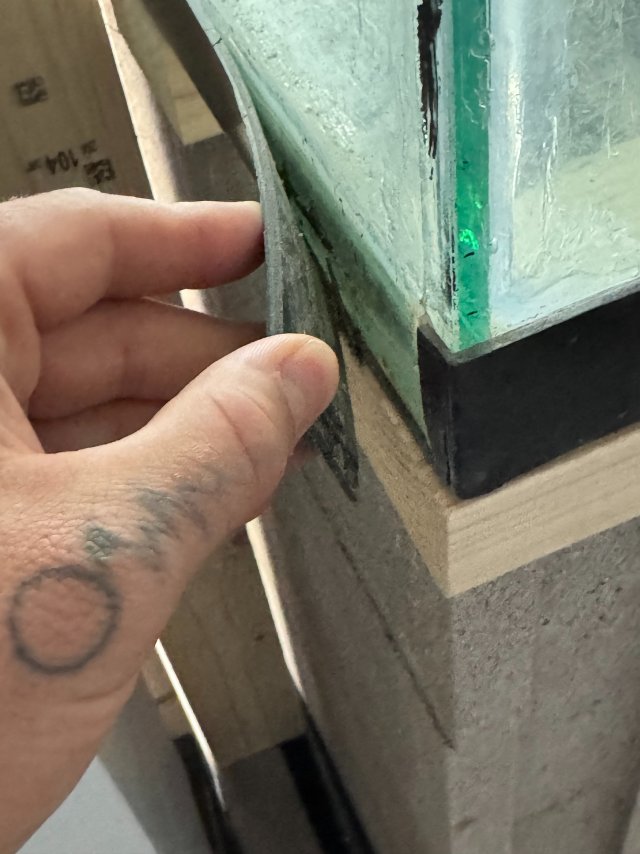 IMG_3790.jpeg IMG_3790.jpeg