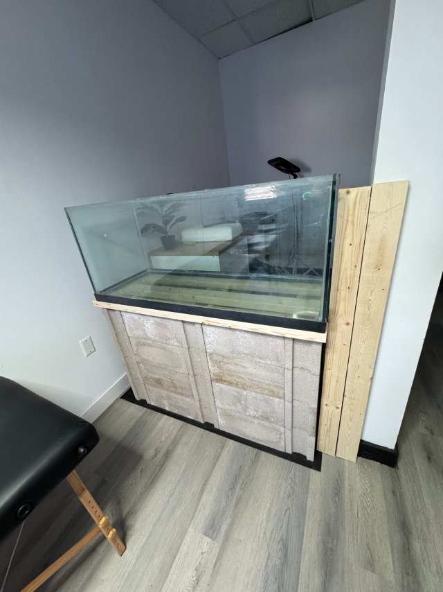 IMG_3785.jpeg IMG_3785.jpeg