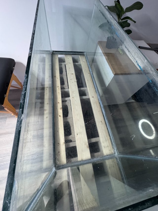 IMG_3786.jpeg IMG_3786.jpeg