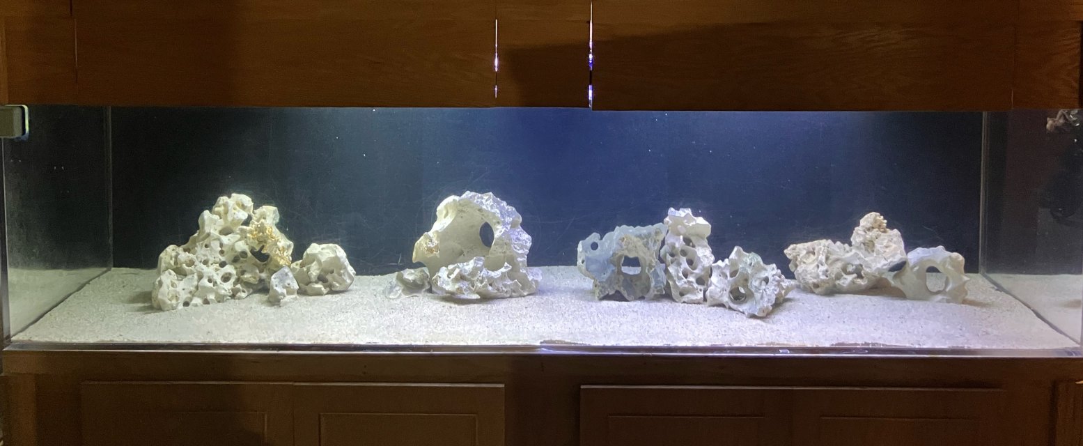 IMG_6396.jpeg IMG_6396.jpeg