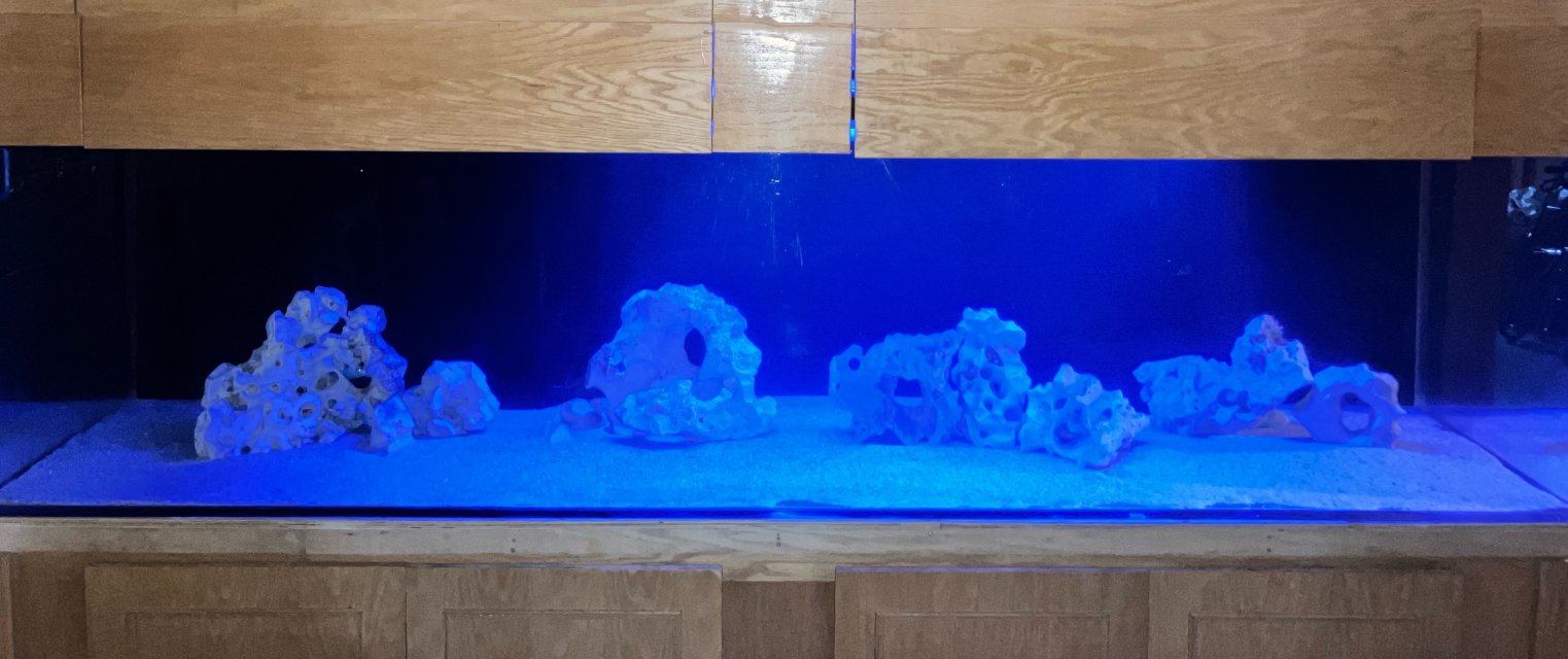 IMG_6397.jpeg IMG_6397.jpeg