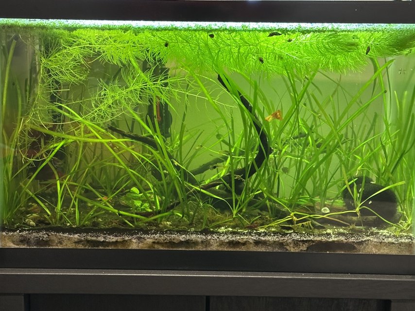 IMG_4951.jpeg IMG_4951.jpeg