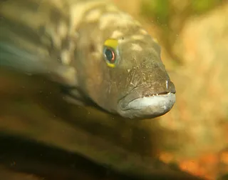 1762690141650.png 1762690141650.png