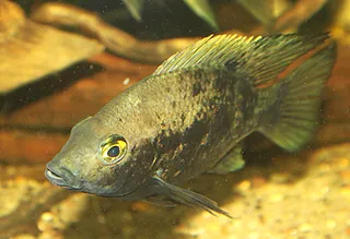 1762690388648.png 1762690388648.png