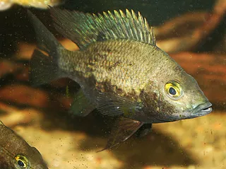 1762690388640.png 1762690388640.png