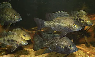 1762690434397.png 1762690434397.png