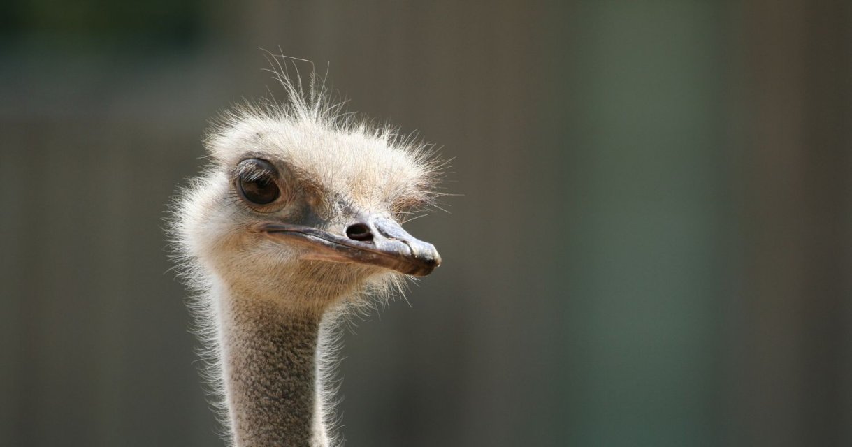 IMG_0085.jpeg IMG_0085.jpeg