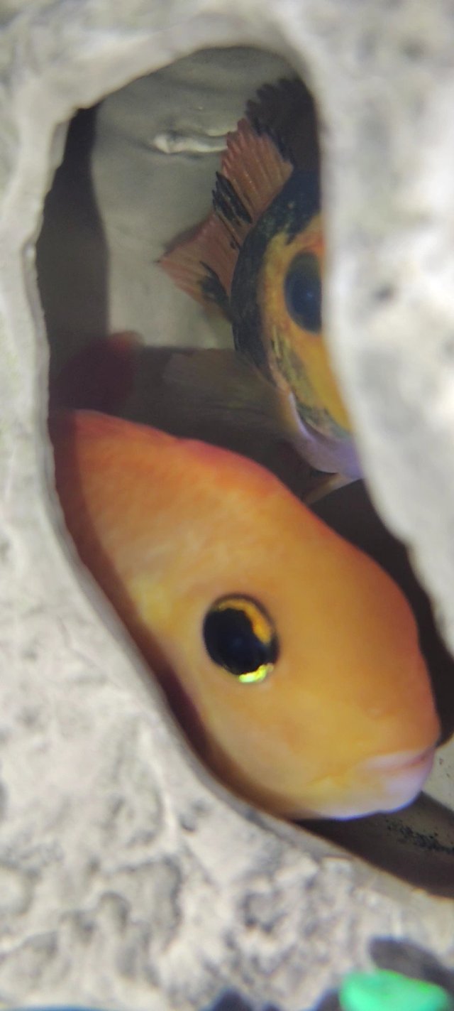 1000003039.jpg 1000003039.jpg