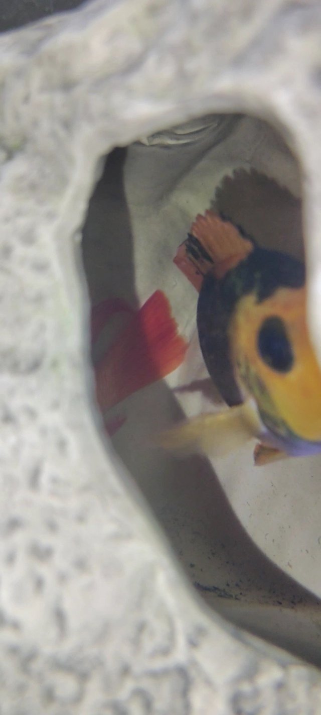 1000003036.jpg 1000003036.jpg