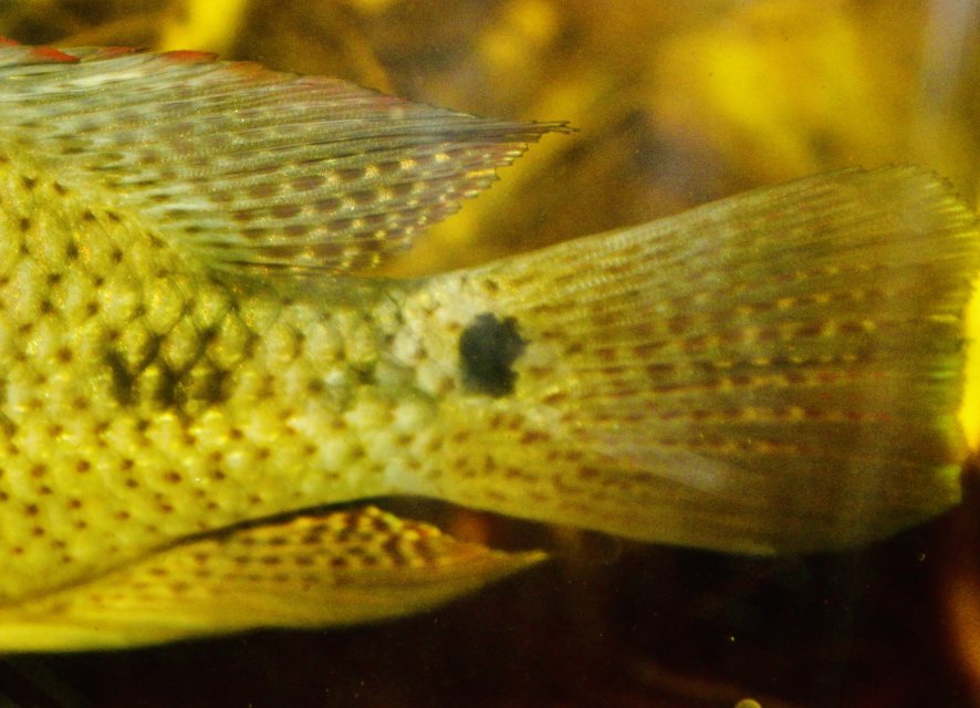 IMG_9524.jpeg IMG_9524.jpeg