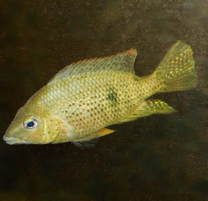 IMG_1449.jpeg IMG_1449.jpeg