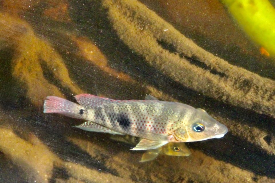 IMG_6996.jpeg IMG_6996.jpeg