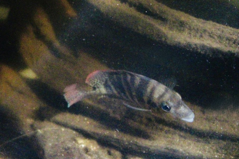 IMG_7009.jpeg IMG_7009.jpeg