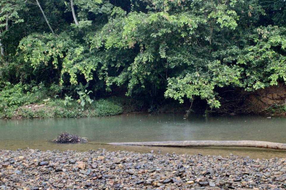 IMG_6520.jpeg IMG_6520.jpeg