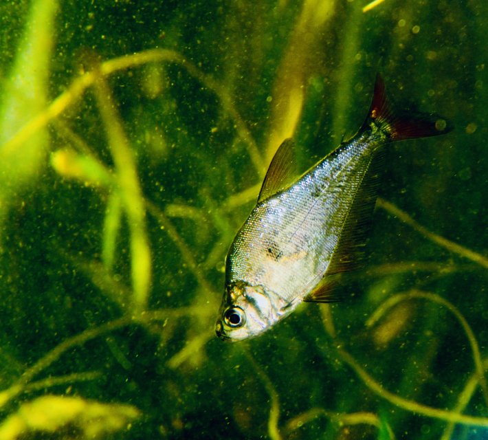 IMG_1383.jpeg IMG_1383.jpeg