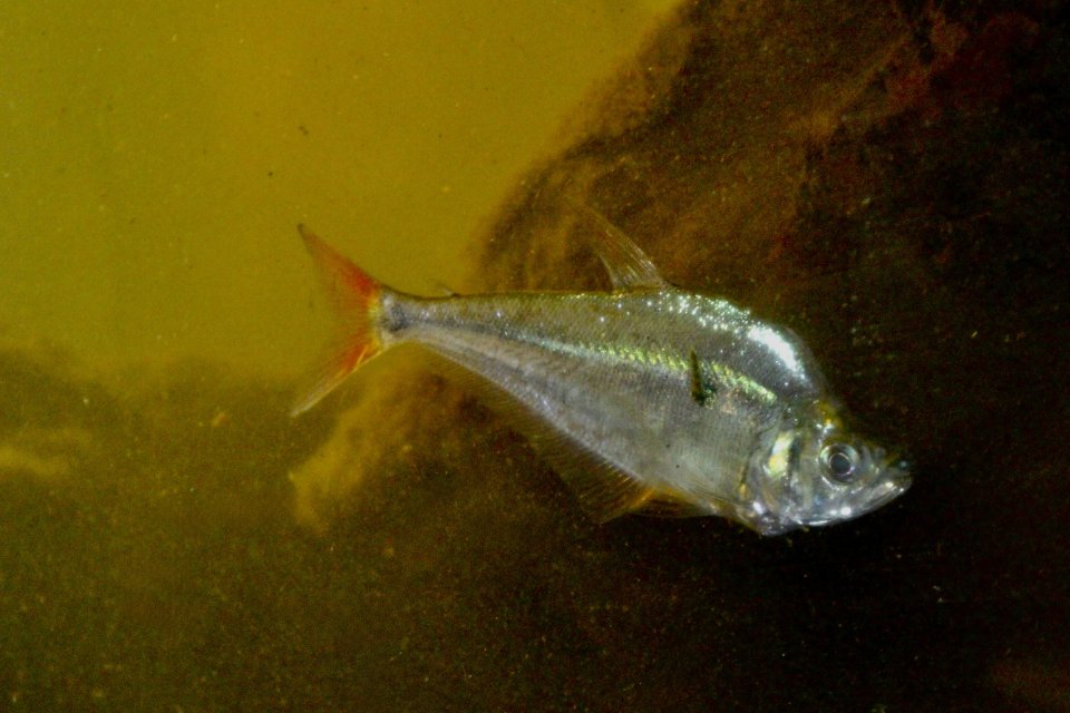 IMG_6958.jpeg IMG_6958.jpeg