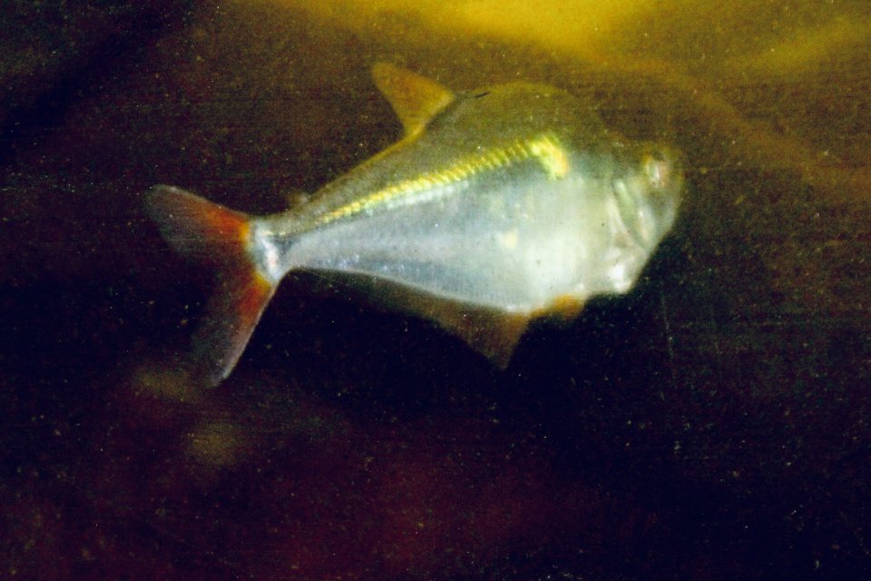 IMG_6926.jpeg IMG_6926.jpeg