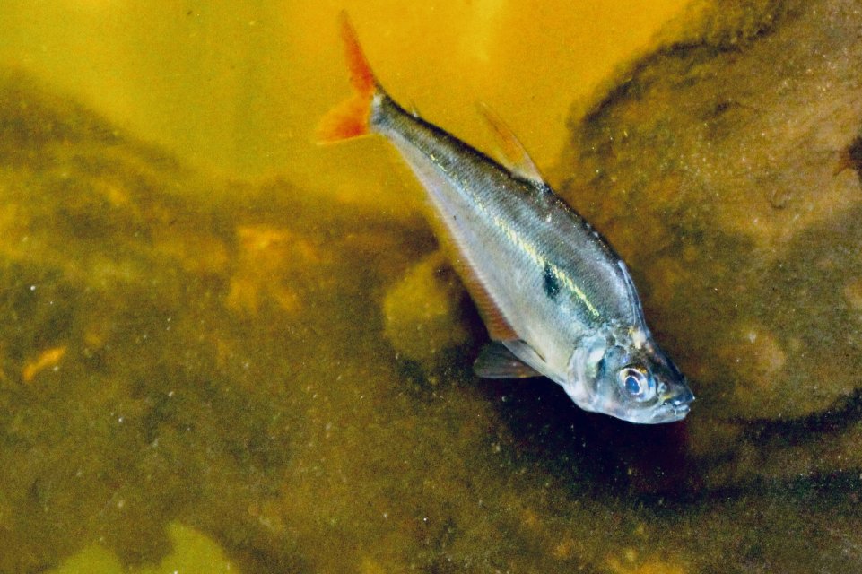 IMG_6816.jpeg IMG_6816.jpeg