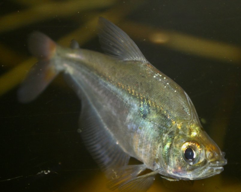 IMG_9464.jpeg IMG_9464.jpeg