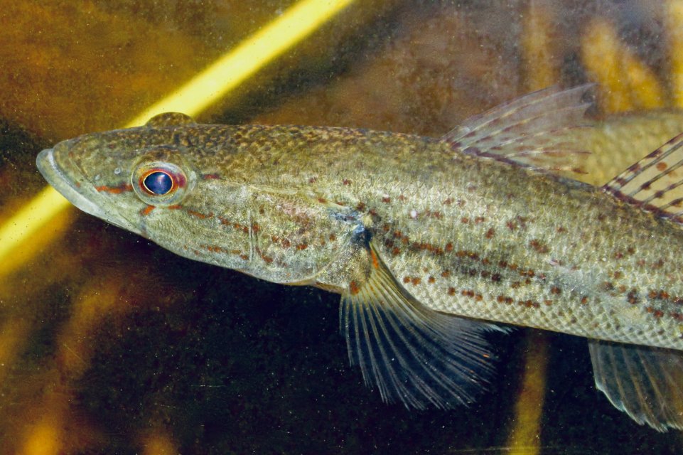 IMG_0137.jpeg IMG_0137.jpeg