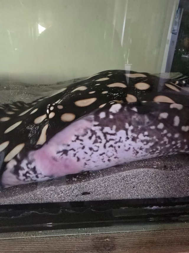 1000016039.jpg 1000016039.jpg