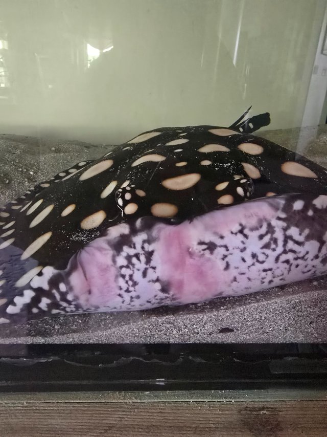 1000016040.jpg 1000016040.jpg