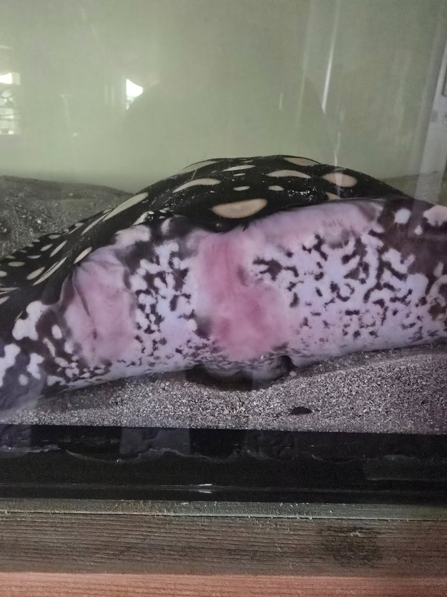 1000016041.jpg 1000016041.jpg